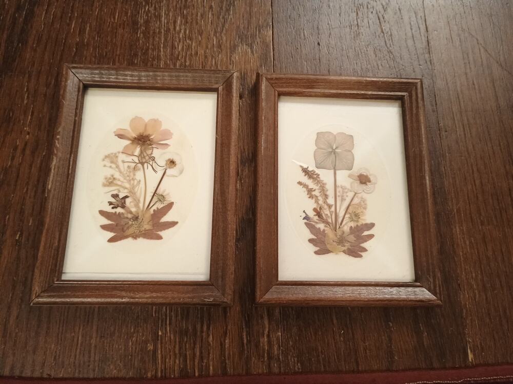 Vtg lot set Wooden Framed Pressed Flower Dried Bouquet Folk Art 8"x6" unique